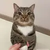 joseph - @placejoseph - TikTok