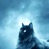 josephplace5 - @en1sw - TikTok