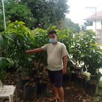 Joseph Plant Nursery - Facebook