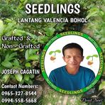 Joseph Plant Nursery - Facebook