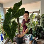Joseph that plant guy - @joseph_that_plant_guy - Instagram