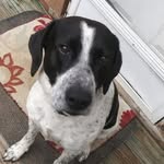 Joseph Polzin - @josephpolzin29 - Instagram