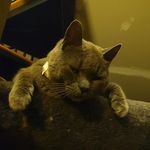 Joseph Pomeroy - @jjoes2100 - Instagram