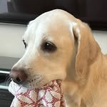 Joseph Poon - @joseph_poon_ - Instagram