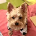 Joseph poon - @josephpoon - Instagram