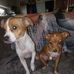 Joseph Posey - Facebook