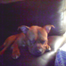 Heyzeus Joseph Pritt - Facebook