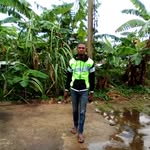 Joseph Prophet - @prophet5212 - Instagram