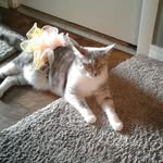 josephwright - @joseph.quickrun5 - Instagram