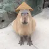Joseph Quiles - @joseph.quiles6 - TikTok