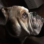 Joseph Rackley - @joseph.rackley.3 - Instagram
