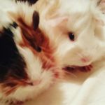 joseph raine - @joseph_raine123 - Instagram