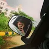 Joseph Raphael - @josephrcs - TikTok