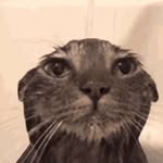 Joseph Rascon - @rascon.joseph - Instagram
