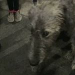 Joseph Raymer - @laser91701 - Instagram