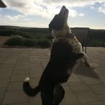 Joseph Redden - @joeredden22 - Instagram