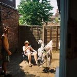 Joe Render - @josephrender - Instagram