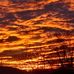 Joseph Revis - Facebook