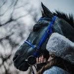 Joseph ring - @josephring1531 - Instagram