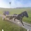 JR - @joseph.ripley_ - TikTok