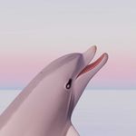 Josephin Ritschel - @josephin.ritschel - Instagram