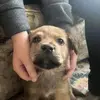 Joseph Trivett - @joseph.trivett0 - TikTok