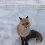 Joseph Roach - @joseph.roach.9 - Instagram