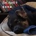 Joseph Robey - Facebook