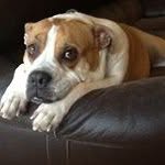 Joseph Rocchio - @joeroc1_ - Instagram