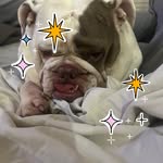 Joseph Rocchio - @joe_roc - Instagram