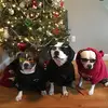 josephroux1156 - @josephroux1156 - TikTok
