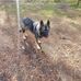 Joseph Ruchert - Facebook