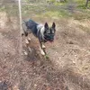 josephruchert - @josephruchert - TikTok