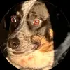 Joseph - @josephryan.40 - TikTok