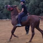 Joseph Saadeh - @josephsaadeh123 - Instagram