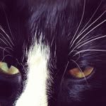 Joseph Sabala - @forbakhers - Instagram