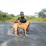 Joseph sadala - @joseph.sadala - Instagram