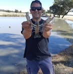 Joe Saffioti - Facebook