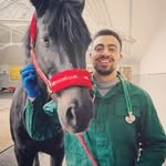 Joseph Salameh - @josephhsalameh - Instagram