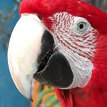 Joseph Salmon - @joseph.salmon.9400 - Instagram