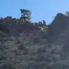josephsandefur8 - @josephsandefur8 - TikTok