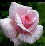 Joseph Say - Facebook