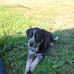 Joseph Schiffer - Facebook