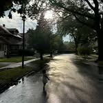Paul Joseph Schramm - @pauljosephschramm - Instagram