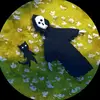 Joseph Schwind - @joseph.schwind3 - TikTok
