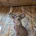 Joseph Schwindt - Facebook