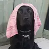Joseph Sciberras - @josephsciberras1 - TikTok