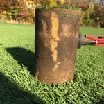 Joseph Scioscia - @sbcc_greens - Instagram