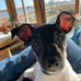 Joe Severance - Facebook