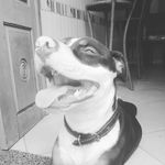 Joseph Severo Miranda da Silva - @josephseveromiranda - Instagram